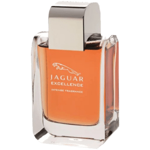 Excellence by JAGUAR EDP 100ml-la-jolie-perfumes