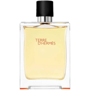 Terre-D-Hermes-la-jolie-perfumes